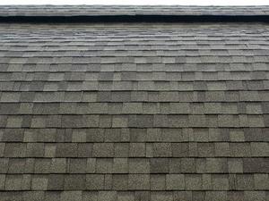 New jersey asphalt shingles cleaning